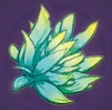 Moonspirit Blossom